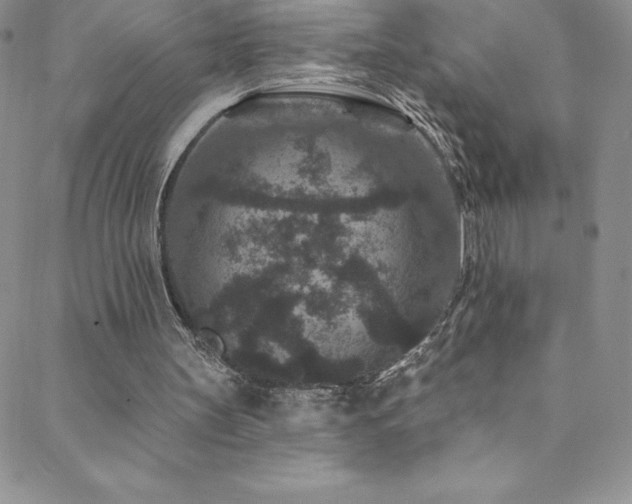 X0000088880147200706081249