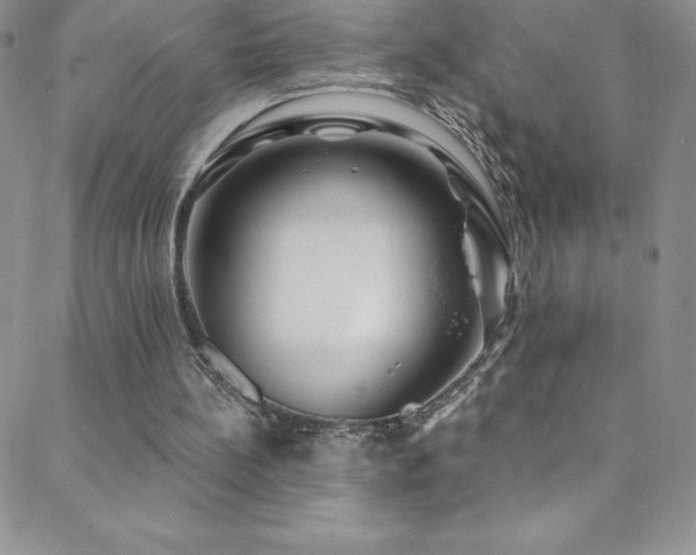 X0000088880148200706081249