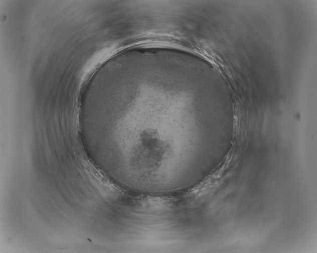 X0000088880149200706081249