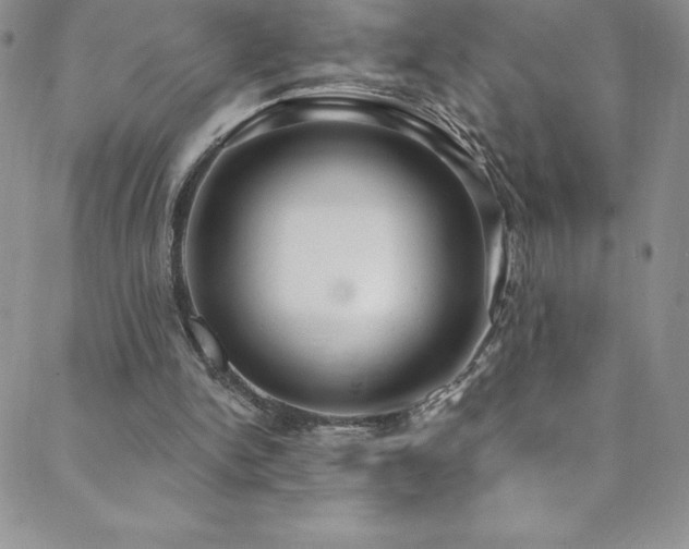 X0000088880150200706081249