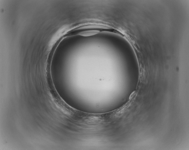 X0000088880151200706081249