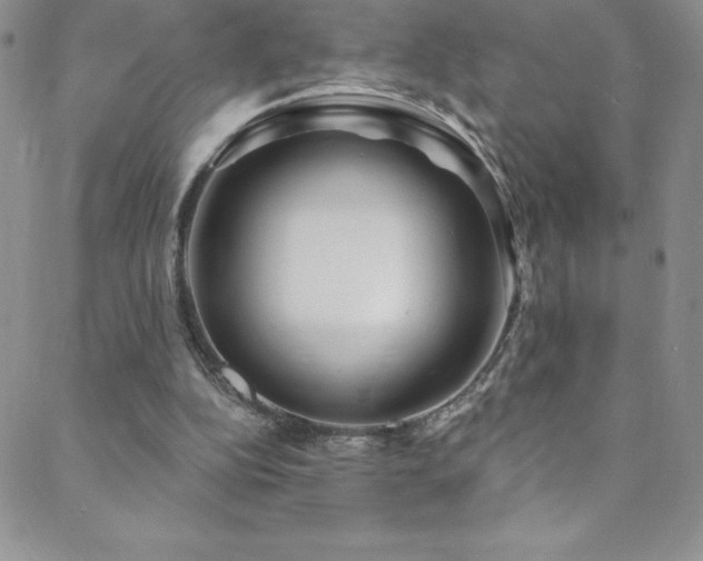 X0000088880152200706081249