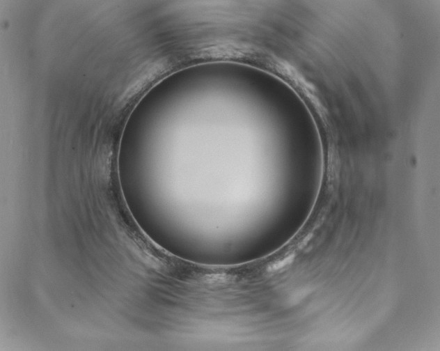 X0000088880153200706081250