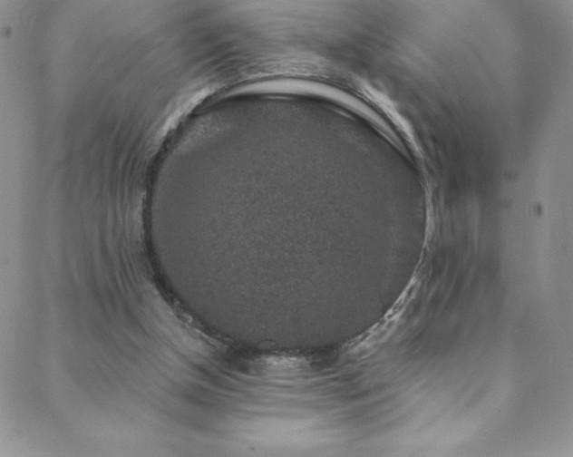 X0000088880154200706081250