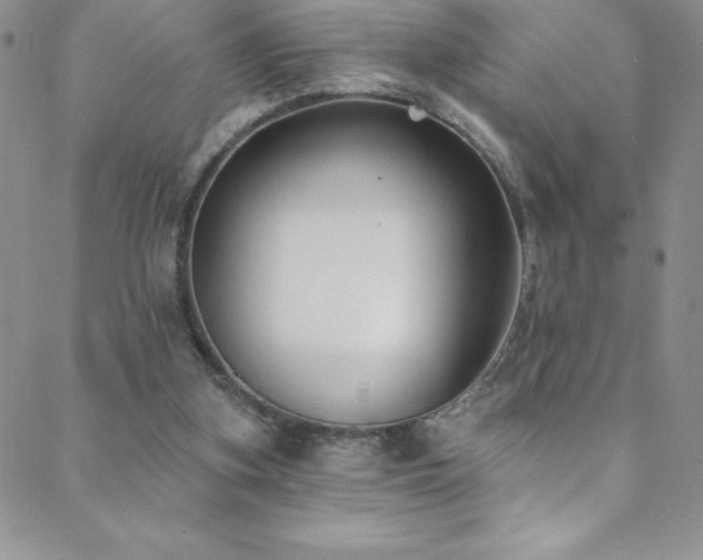 X0000088880155200706081250