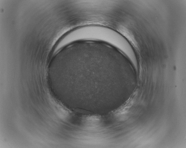 X0000088880156200706081250