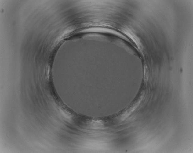 X0000088880157200706081250