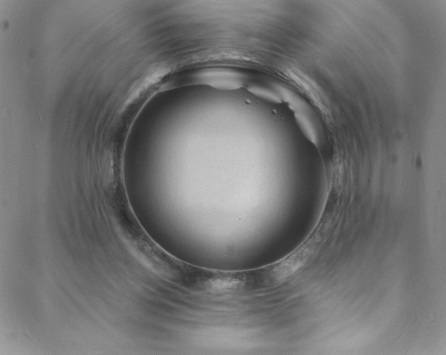 X0000088880158200706081250