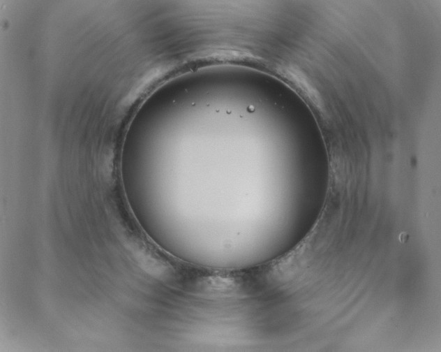 X0000088880159200706081250