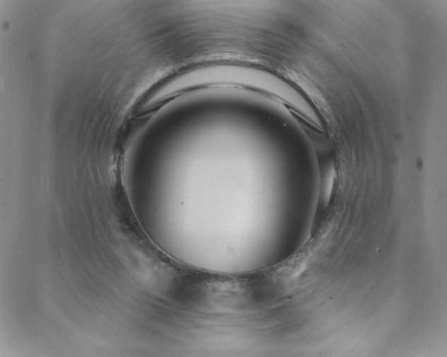 X0000088880160200706081250