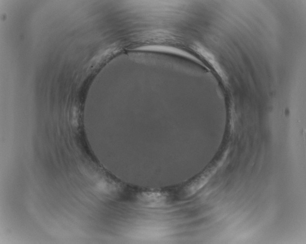 X0000088880161200706081250