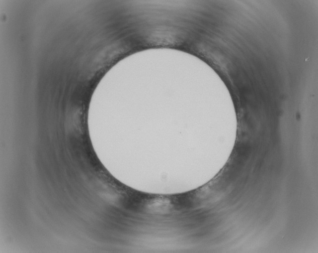 X0000088880162200706081250