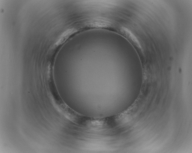 X0000088880163200706081250