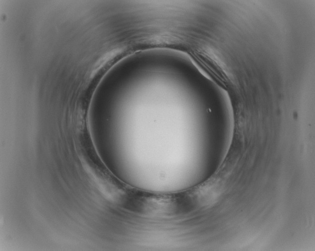 X0000088880164200706081250