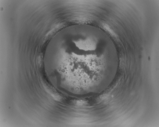 X0000088880165200706081250