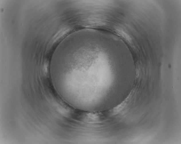 X0000088880166200706081250