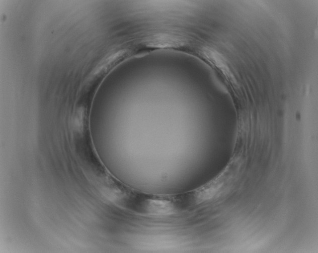 X0000088880167200706081250