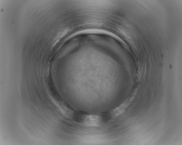 X0000088880168200706081250