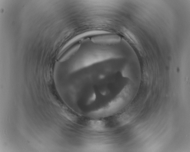 X0000088880169200706081250