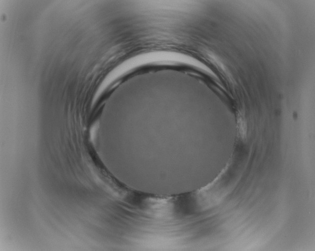 X0000088880170200706081250