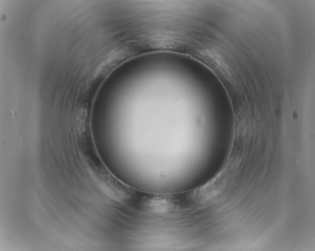 X0000088880171200706081250