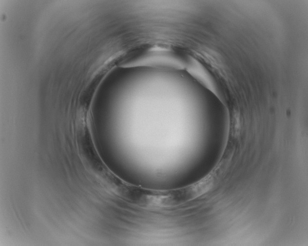 X0000088880172200706081250