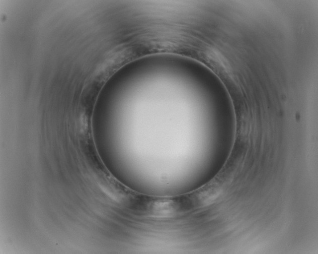 X0000088880173200706081250