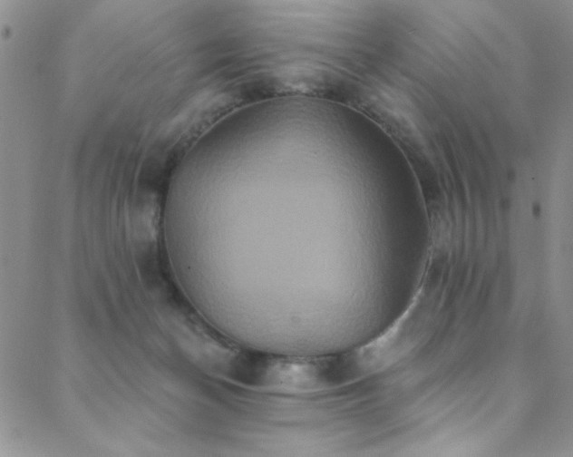 X0000088880174200706081250