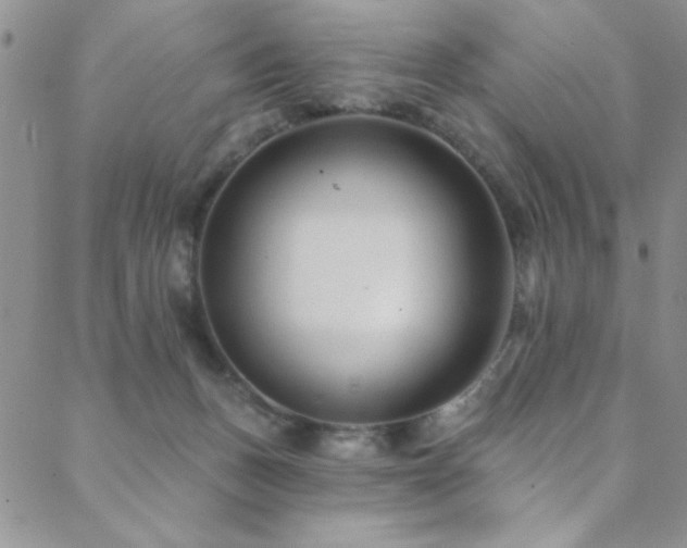 X0000088880175200706081250