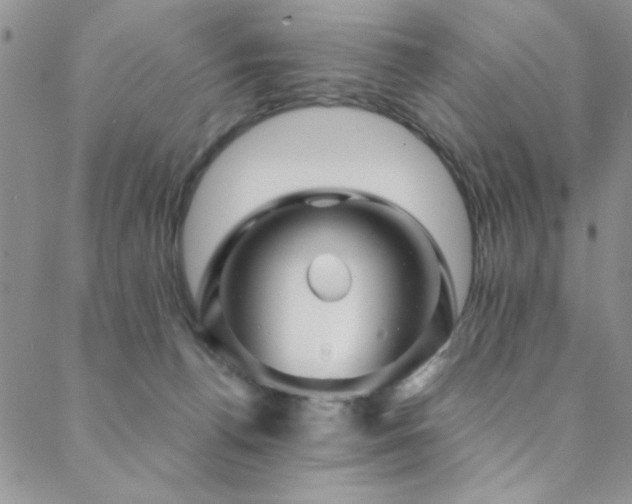 X0000088880176200706081250