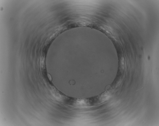 X0000088880177200706081250