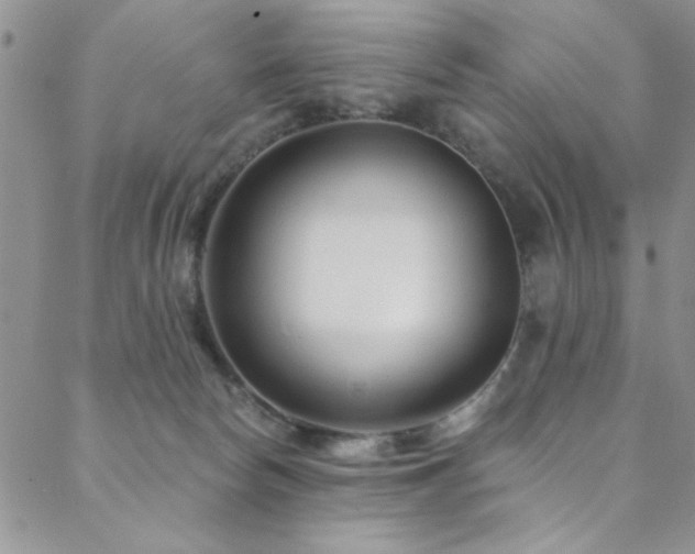 X0000088880178200706081250