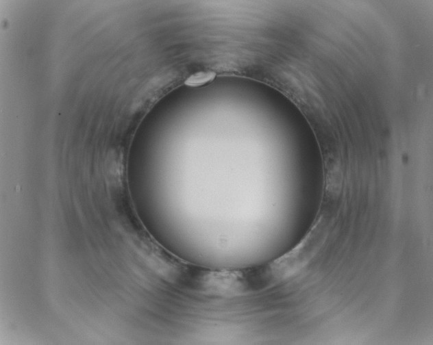 X0000088880179200706081250