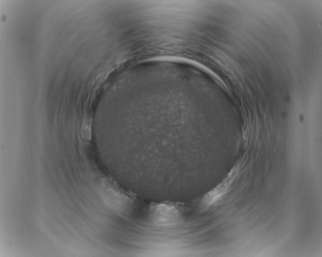 X0000088880180200706081250