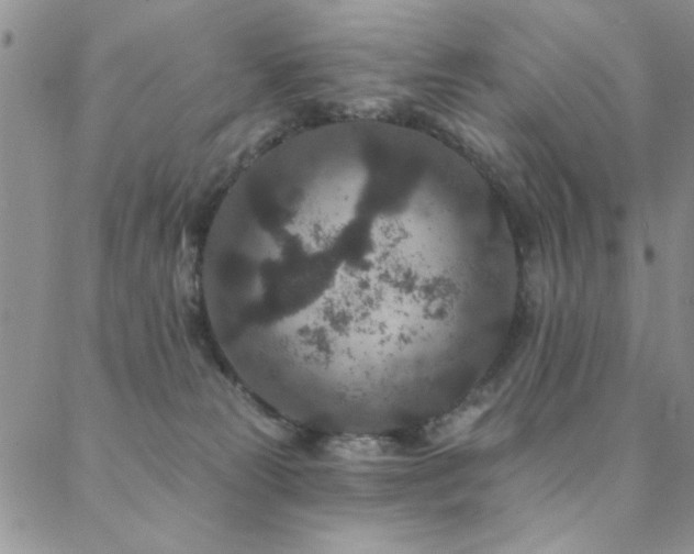 X0000088880181200706081250