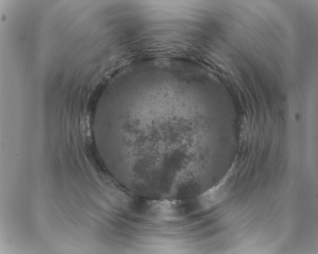 X0000088880182200706081250