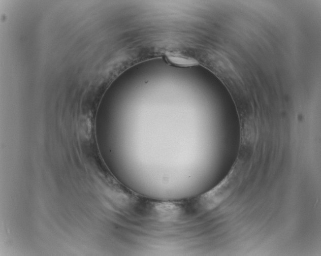 X0000088880183200706081250