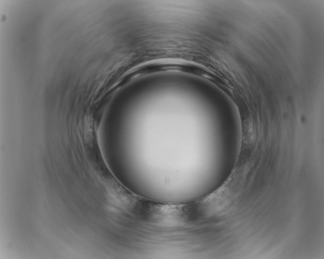 X0000088880184200706081250