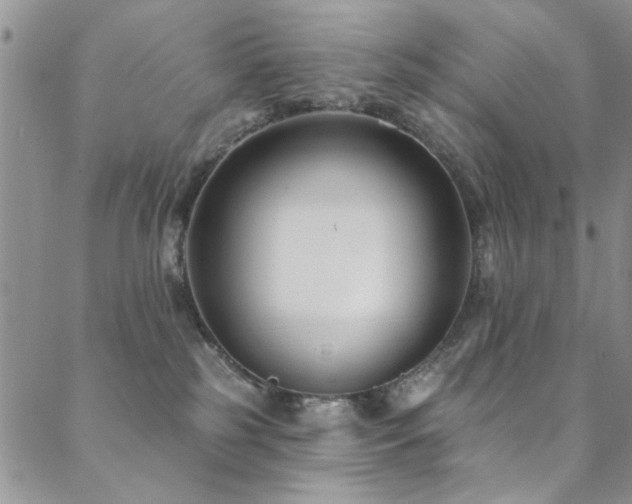 X0000088880185200706081250