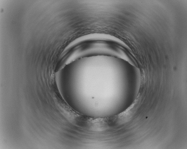 X0000088880186200706081250