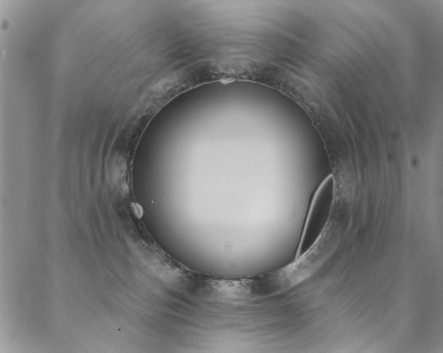 X0000088880187200706081250