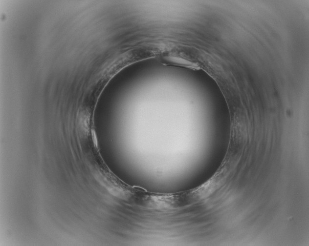 X0000088880188200706081250