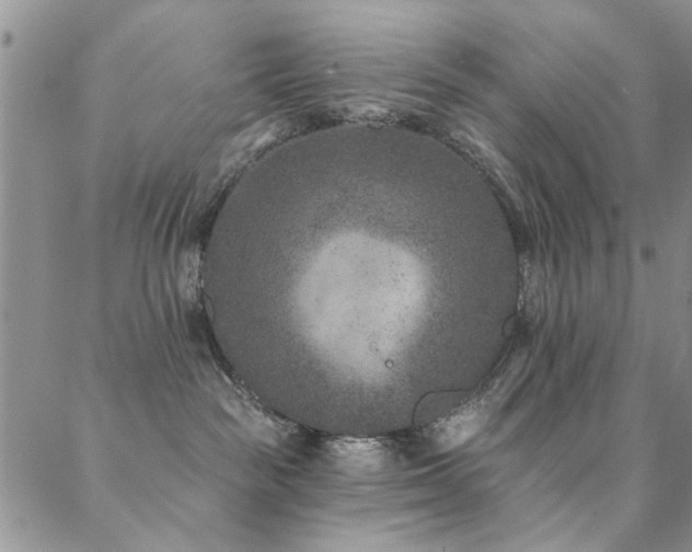 X0000088880189200706081250