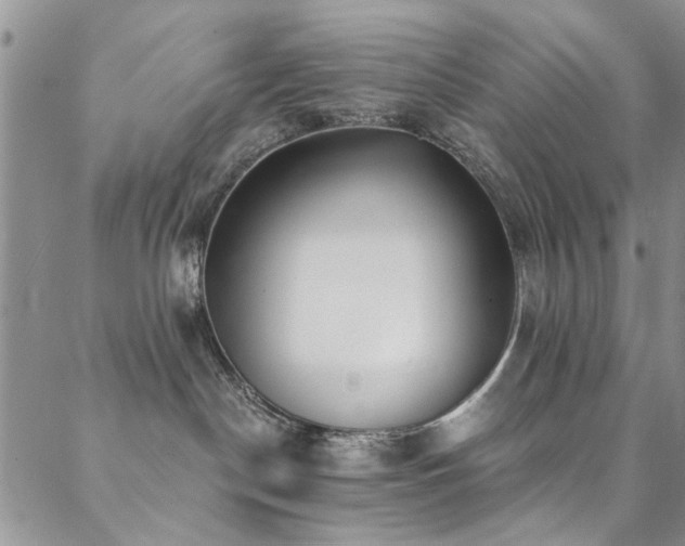 X0000088880190200706081250