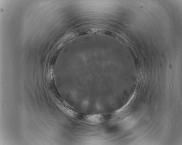 X0000088880191200706081250