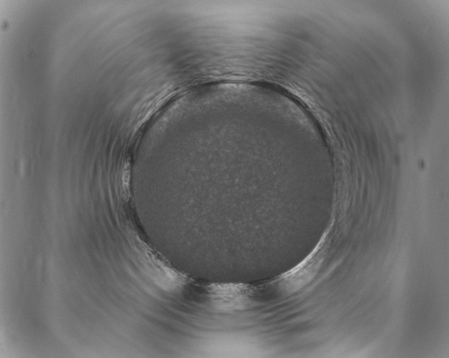 X0000088880192200706081250