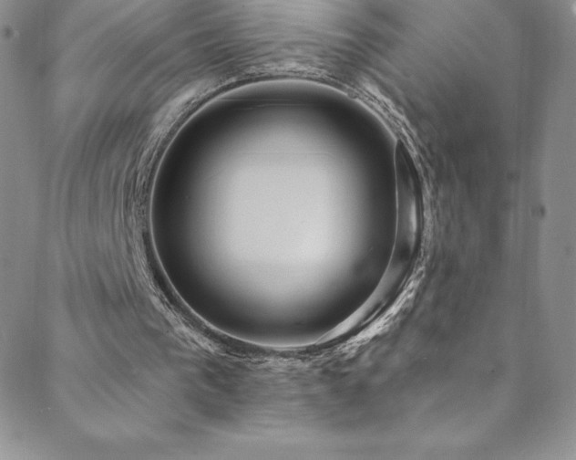 X0000088880193200706081249