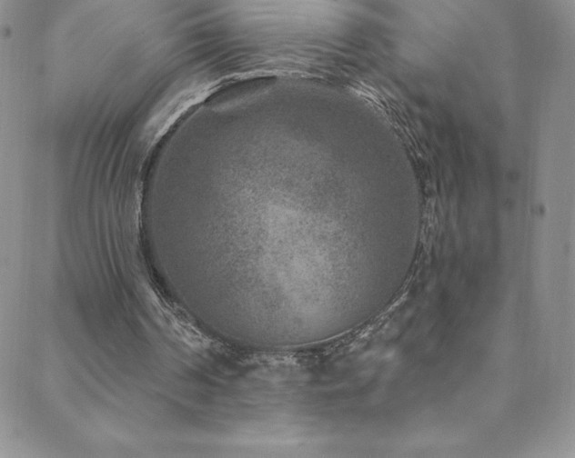 X0000088880194200706081249