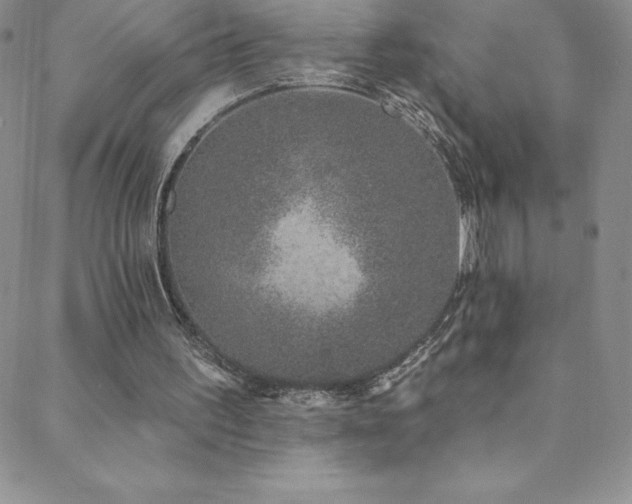 X0000088880195200706081249