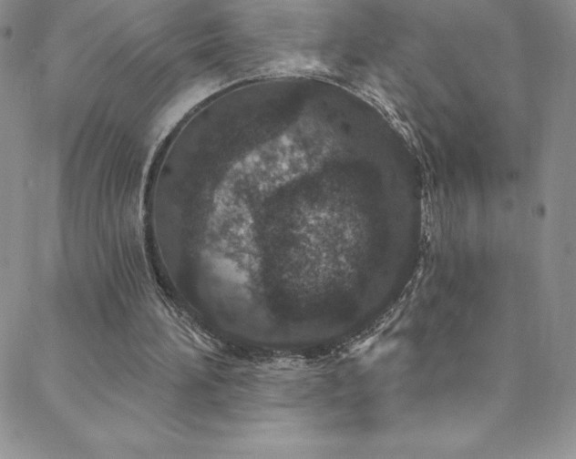 X0000088880196200706081249